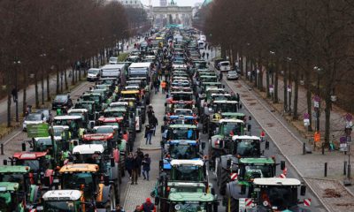 People walk beside tractors, as German farmers take part in a protest against the cut of vehicle tax subsidies, near the Brandenburg Gate in Berlin, Germany, December 18, 2023. REUTERS/Christian Mang