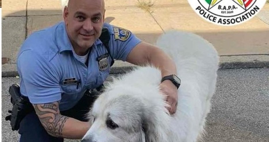 big_120040881_176629490589124_8612616607558298942_n