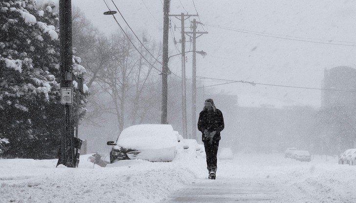 447a53bb38d643bfa5d8f74f5260300a