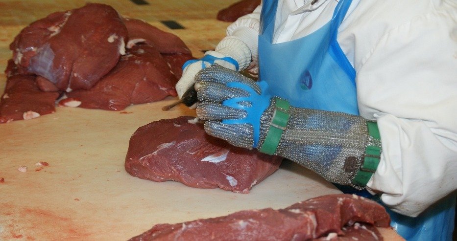 big_flesh-g2b800bbff_1920