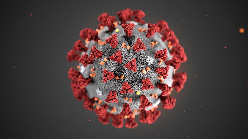 koronavirus_bgnes
