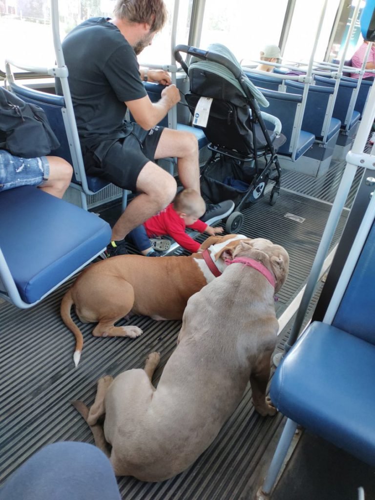 412052fb23ada57f484217591006c99d