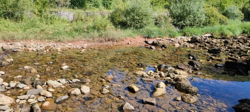 7e23c627fba33136d2b784e0f5ea8439