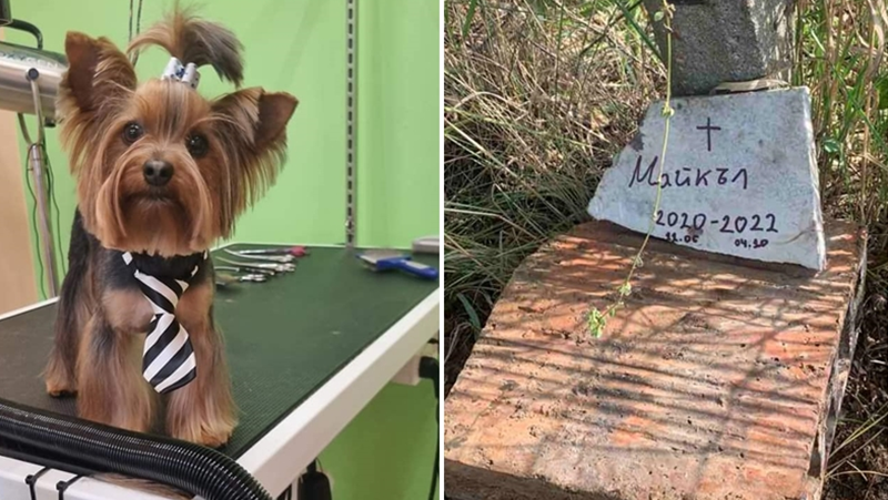 ti-koito-hvarli-otrova-dovolen-li-si-725